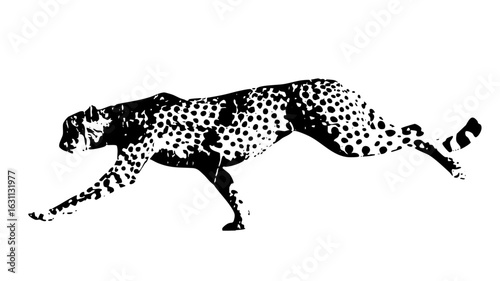 Vector Dynamic cheetah showcases swift feline movement.