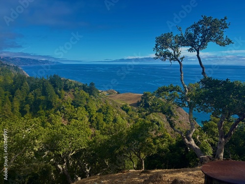 Pine Tree on a Mountain Lake at Nepenthe in Big Sur, California