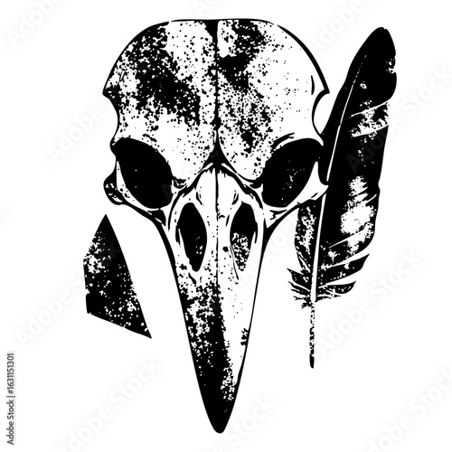 Vector Detailed raven skull with feather accent.