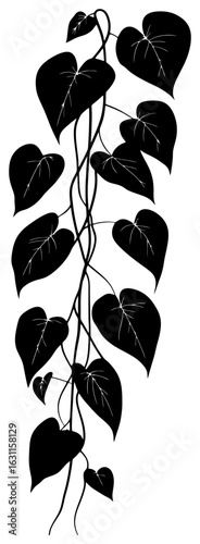 philodendron heartleaf vine vertical decoration border silhouette