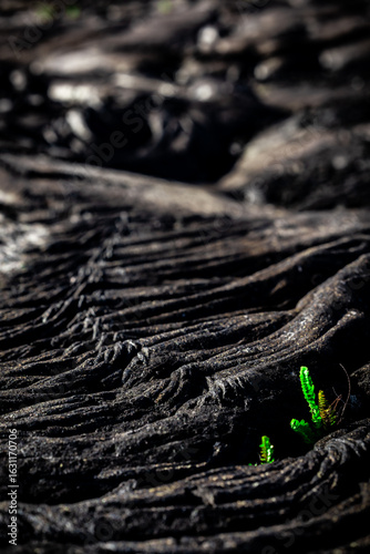 Close-up of Hardened Lava Rock Texture in Hawaii Volcanoes National Park, Big Island