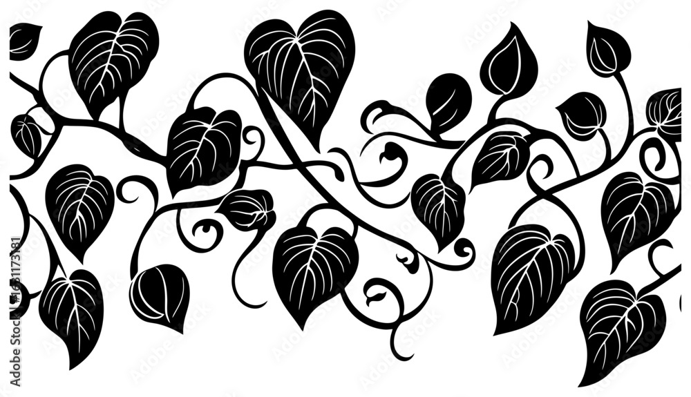 Fototapeta premium Chayote vine decoration border silhouette