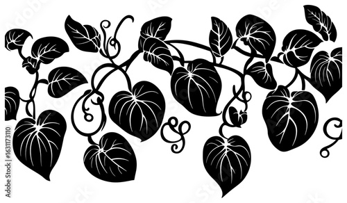 Chayote vine decoration border silhouette