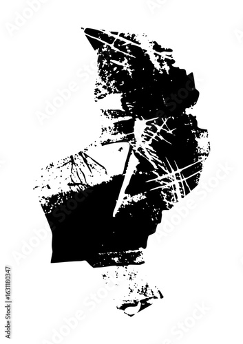 Vector Abstract broken face portrait with shattered lines.