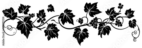Grape vine decoration border silhouette