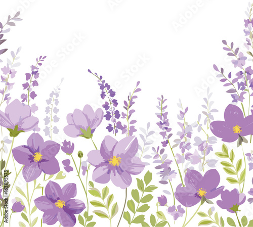 Vector illustration of purple cosmos and lavender flowers on a white background 1.