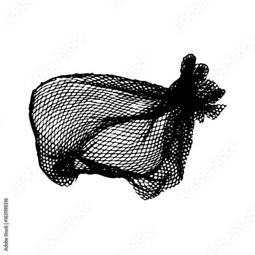 Vector Intricate mesh face covering depicts a mysterious veiled figure.