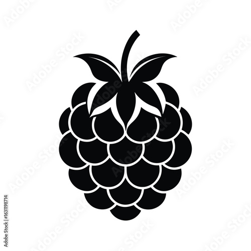 Black Silhouette of a Raspberry with Stem and Leaves on White Background fruit food