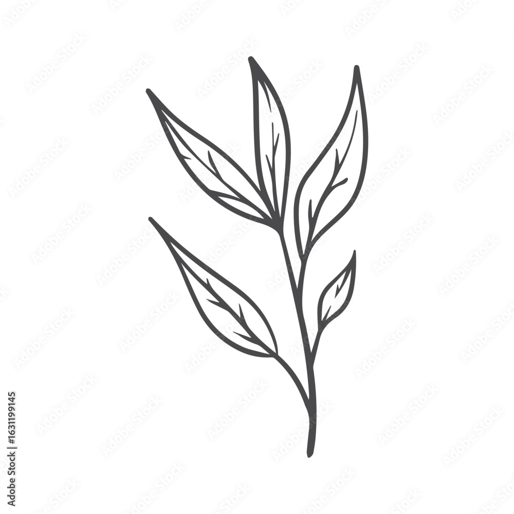 LINE ART HAND DRAWN LEAF BRANCH AND FLOWER LINE ART HAND DRAWN LEAF BRANCH AND FLOWER