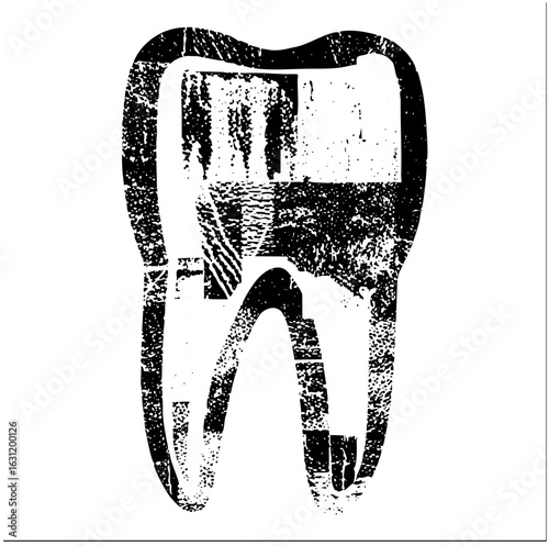 Vector Detailed tooth with root structure.