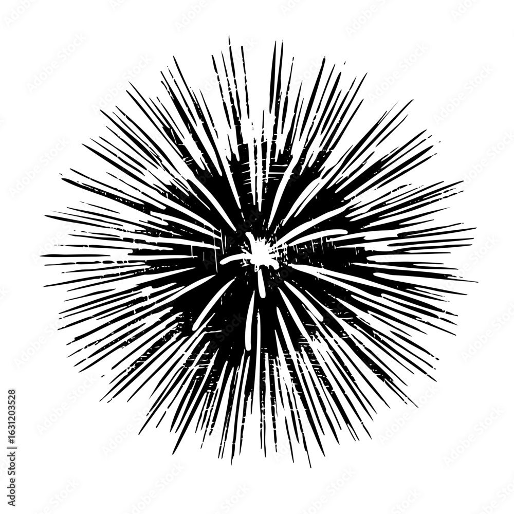 Naklejka premium Vector Dynamic burst features radiating lines and a central core.