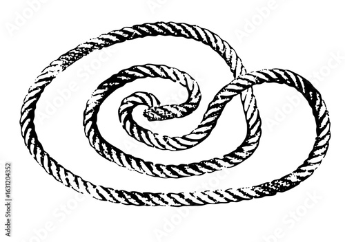 Vector Intricate twisted rope creates a dynamic spiral .