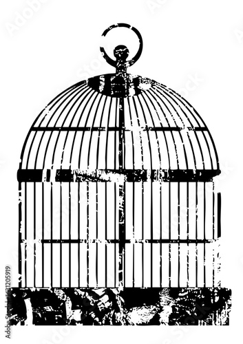 Vector Vintage birdcage with ornate details.