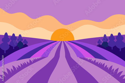 lavender field stretching toward sunset purple hues