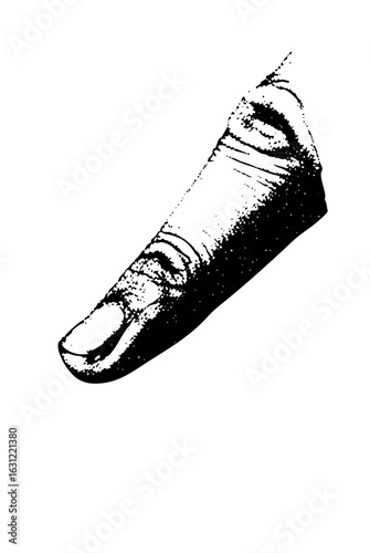 Vector Detailed of a human thumb with defined creases.