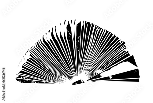Vector Detailed of a scallop with radiating lines.