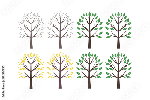 Progression of Tree Growth and Seasonal Color Changes Keywords: trees, growth, seasons, leaves, branches, nature