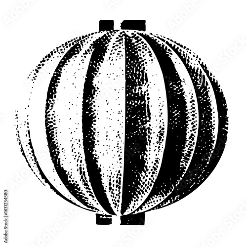 Vector Striking monochrome of a striped spherical object.