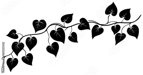 Silhuoette of Pothos ivy vine decoration border