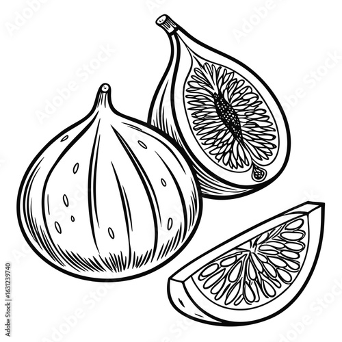 A black and white vector drawing of a fig, including whole and sliced views, clean line work