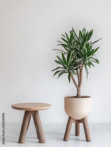 Light-colored wood coffee table and planter against white wall