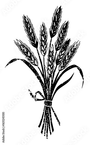 Vector Vintage wheat sheaf with tied stalks.
