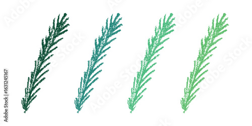 Set of hand drawn spruce branch clipart. Twig of coniferous tree doodle. Christmas and winter design element