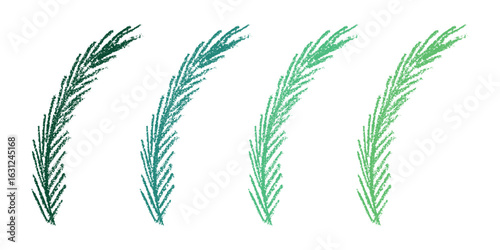 Set of hand drawn spruce branch clipart. Twig of coniferous tree doodle. Christmas and winter design element