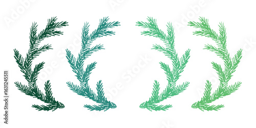 Set of hand drawn spruce branch clipart. Twig of coniferous tree doodle. Christmas and winter design element