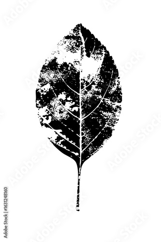 Vector Detailed botanical leaf with distressed texture.