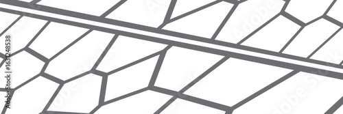 Set of black and white seamless geometric pattern vectors. Repeating irregular shape backgrounds for web tiles, science, and interior design. Collection of polygonal line cell template backgrounds.