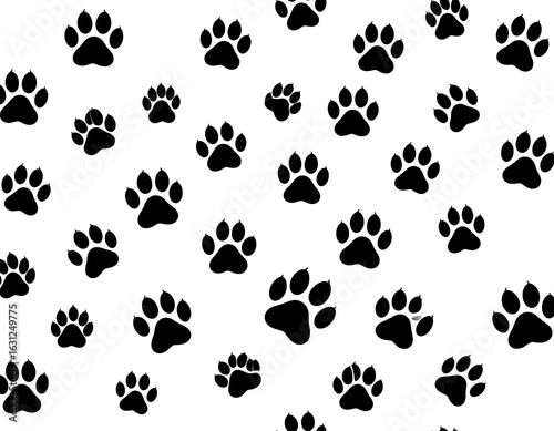 Black paw prints on white background (1)