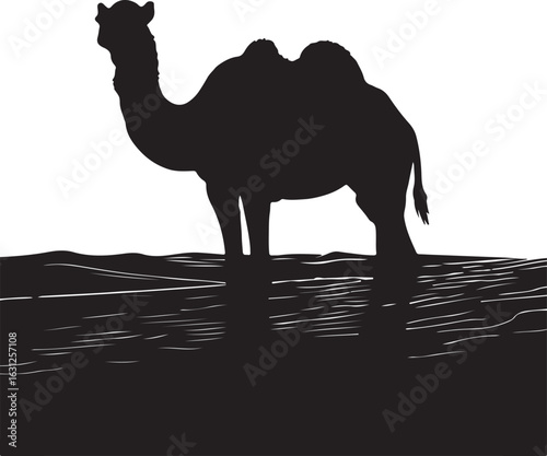 Camel with desrt in silhouette image white backgrpound.