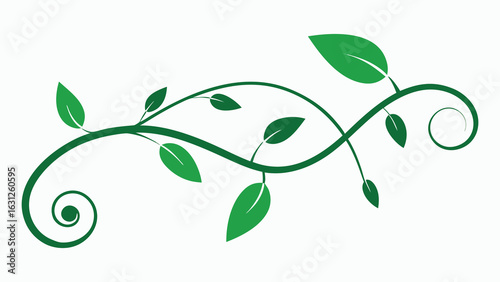 Vector art of green floral vine with leaves and swirls, isolated on white background.
