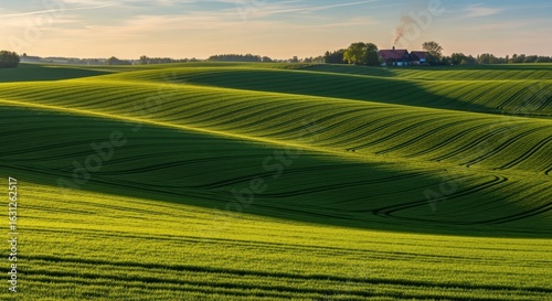 Rolling Green Hills: A picturesque landscape features undulating green hills under a clear, sunny sky, showcasing the beauty of nature's curves and contours.