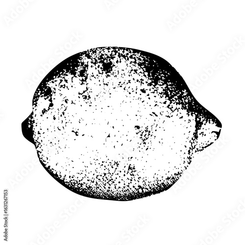 Vector Monochrome lemon with textured details.
