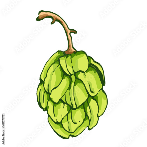 Beer hop illustration. Design element for logo, label, emblem, sign, poster, label. Hand drawn sketch illustration. Vintage-style etching, perfect for packaging, prints, menus, and digital designs.