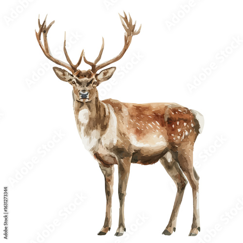 Reindeer, watercolor clipart vector, isolated on a white background.