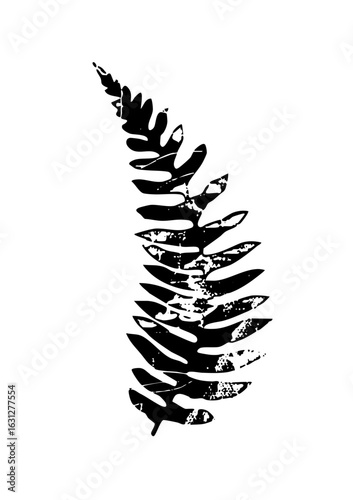 Vector Elegant fern frond in monochrome style.