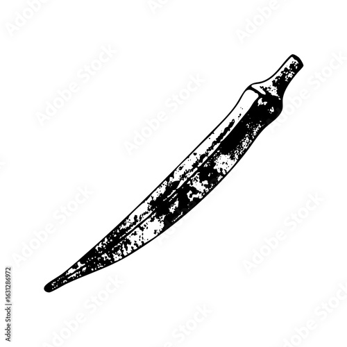 Vector Detailed of a long slender chili pepper.