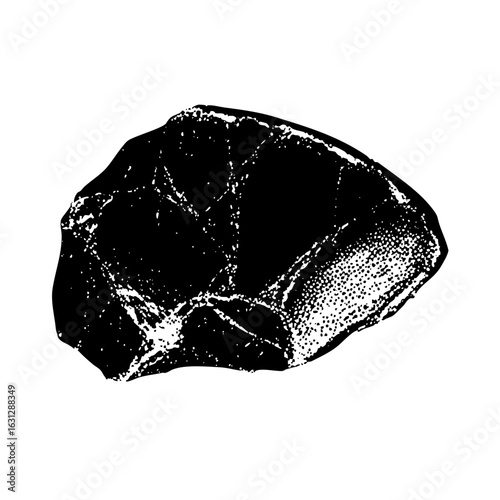 Vector Detailed of a raw meat cut showcasing texture and form.