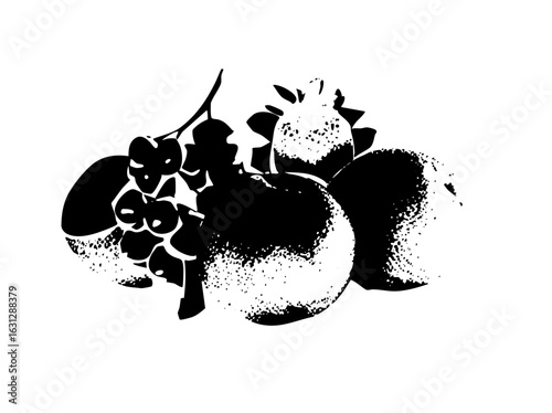 Vector Still life of grapes and citrus fruits.