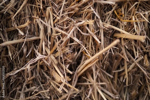 A haystack that looks quite unique.