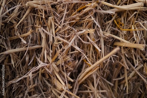 A haystack that looks quite unique.