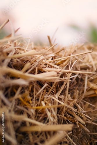 A haystack that looks quite unique.