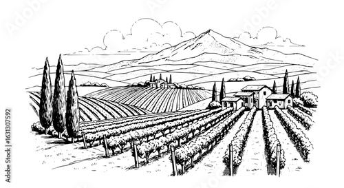 Hand-drawn Tuscany vineyard landscape vector with farmhouse and hills

