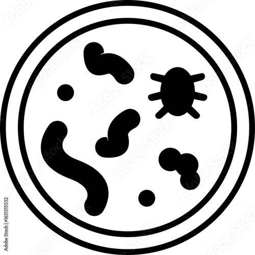 Bacteria