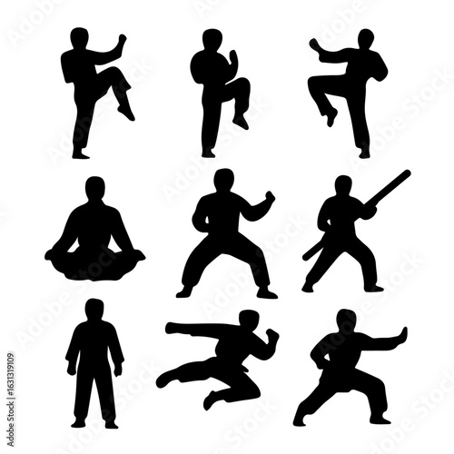 silhouettes of people martial arts - kungfu silat karate taekwondo
