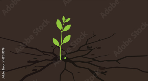 Seedling sprouting from cracked ground, a symbol of hope, and new life