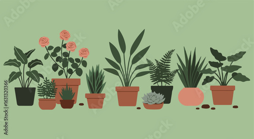 Assorted plants in pots on a green surface for use in design and illustrations